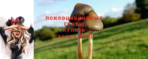 твердый Ладушкин