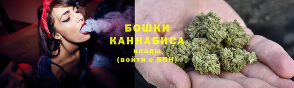 твердый Ладушкин