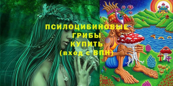 твердый Ладушкин