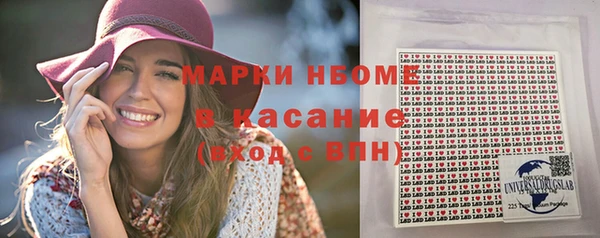 твердый Ладушкин