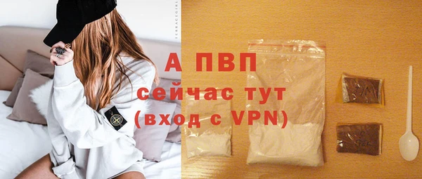 твердый Ладушкин