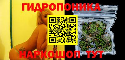 спиды Берёзовский