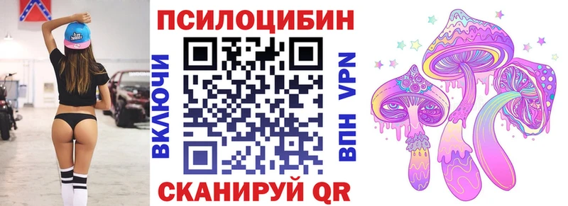 Псилоцибиновые грибы Psilocybe  Владикавказ 
