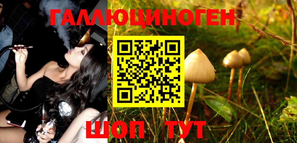 Галлюциногенные грибы Magic Shrooms Владикавказ