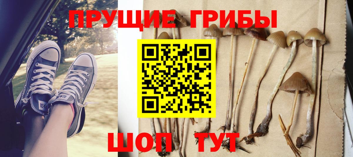 Псилоцибиновые грибы ЛСД  Вход с VPN  дарнет шоп  Владикавказ 