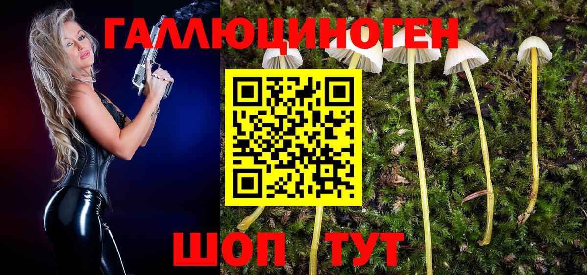 Бошки Шишки Владикавказ