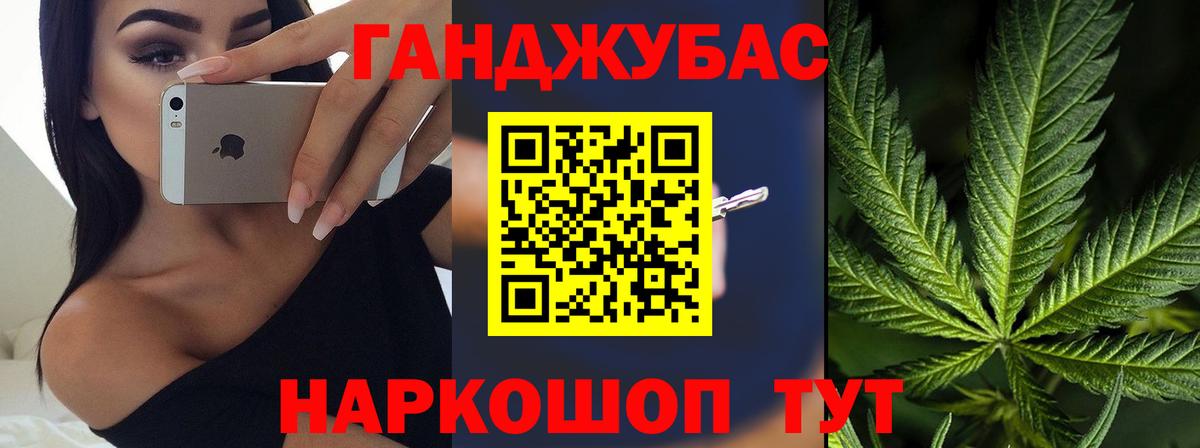 Бошки марихуана семена  Владикавказ  Канабис гибрид  Канабис Amnesia 